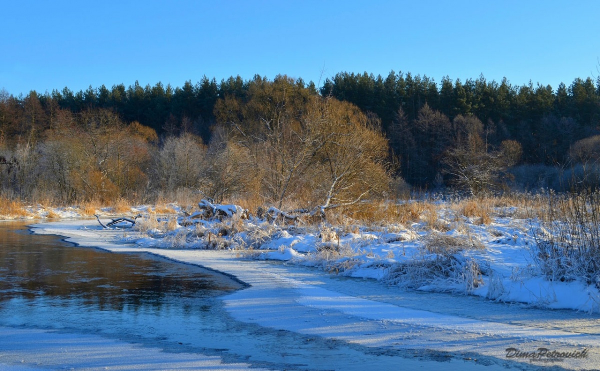 Frost and sun – what a wonderful day