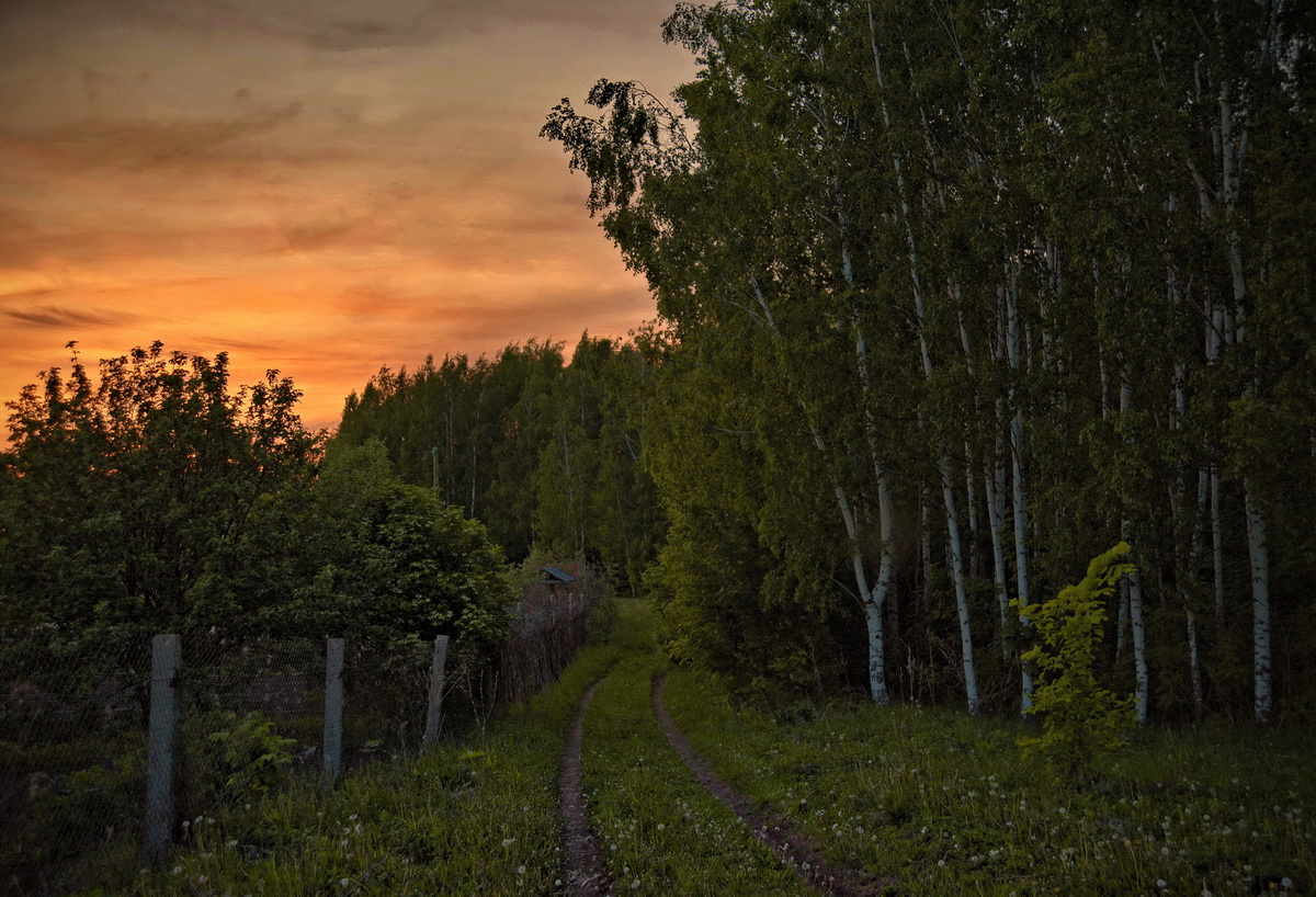 Ближайший вечер. Ближе к вечеру. Фотография ближе. Ближе фото. Картинка ближе к вечеру определимся.