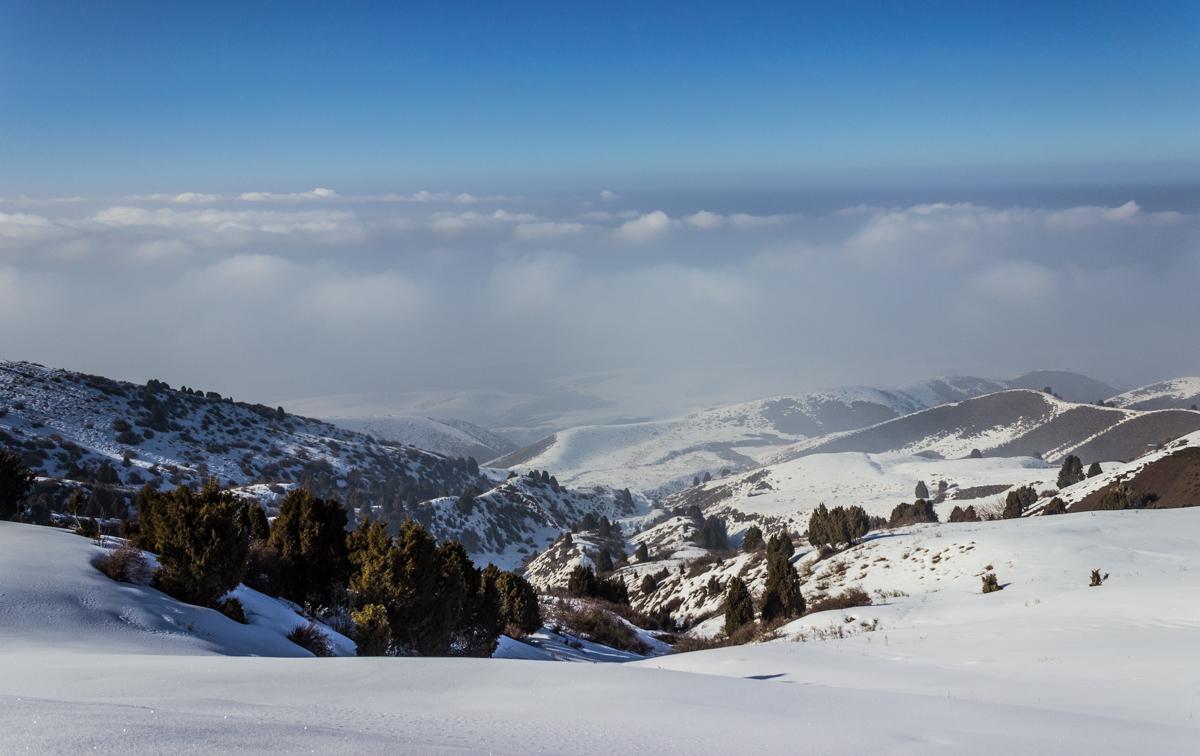 Above the clouds