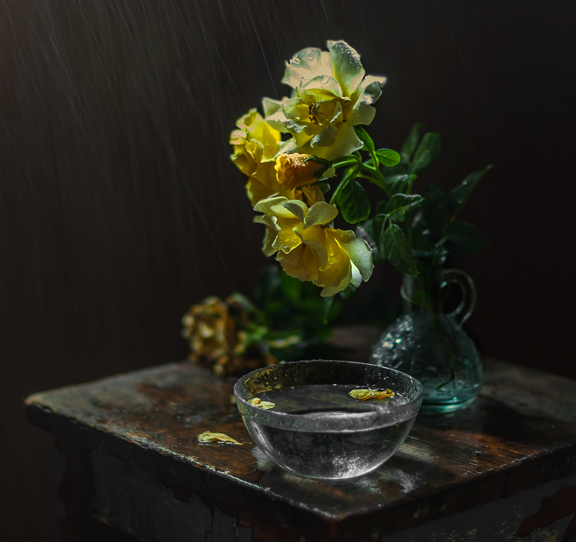 Rose in the rain ...