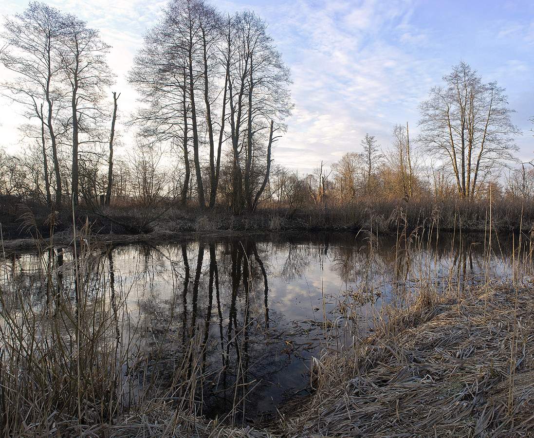 On the morning of spring