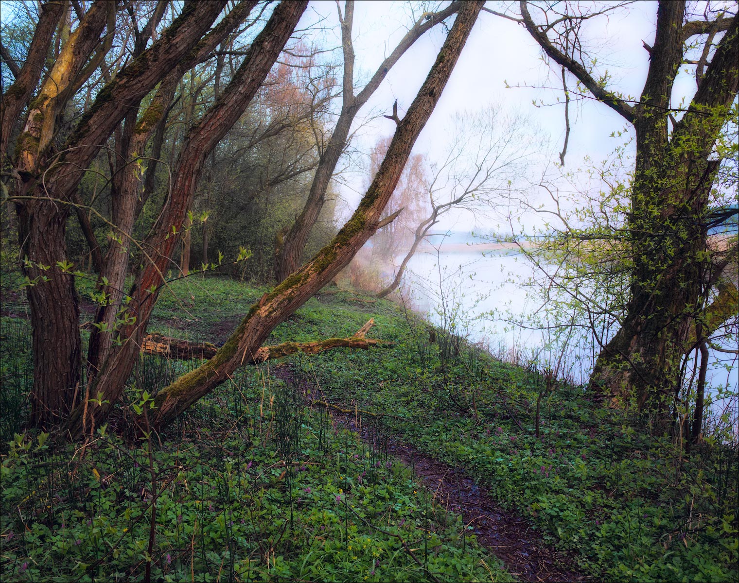 Contrasts wet spring morning