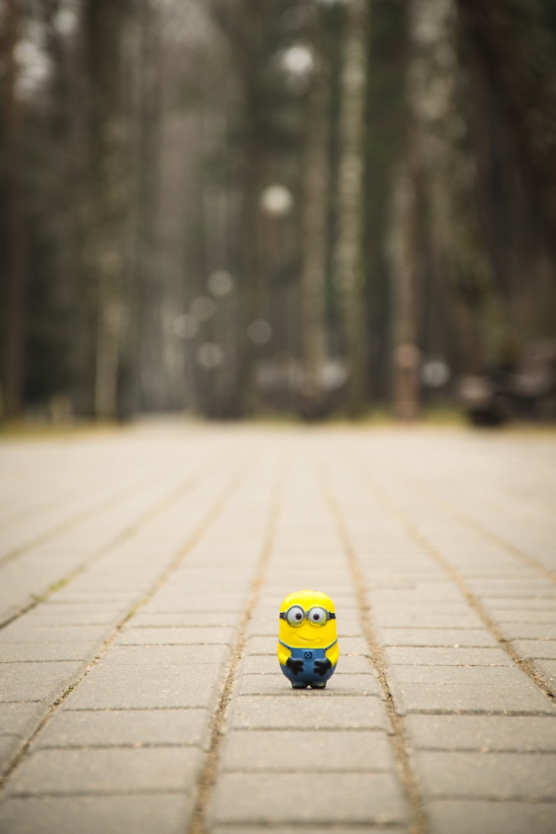 Mignon in the park.