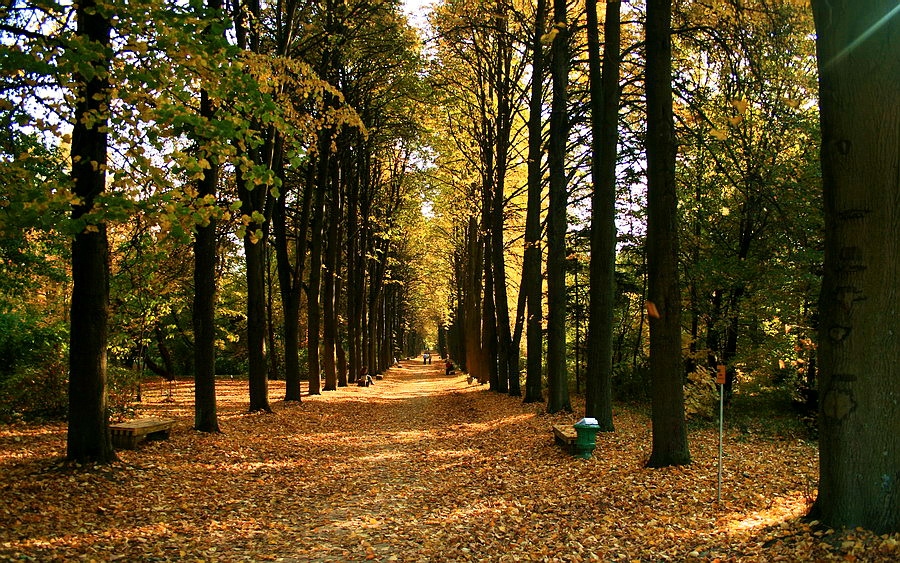 Alley 2 (Botanical Garden)