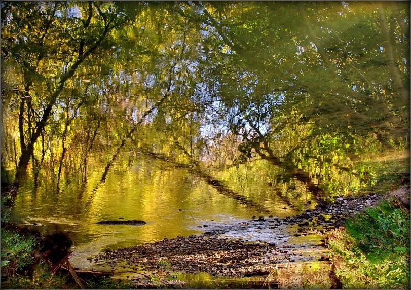 autumn. mirages .. 2
