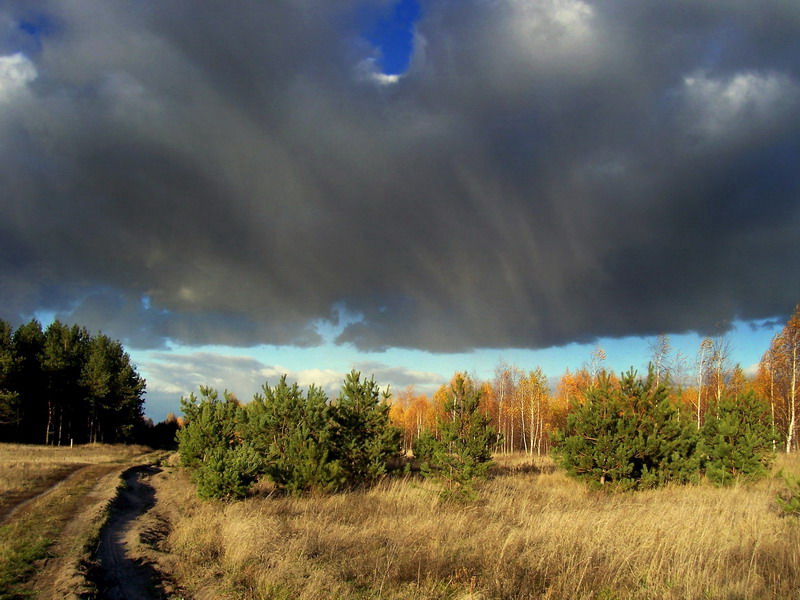 cloud, carrying the snow