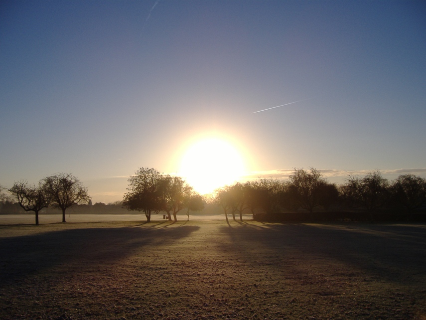 Bright early winter
