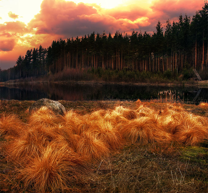 Autumn fires. Хвост осень. Огненная осень фото.