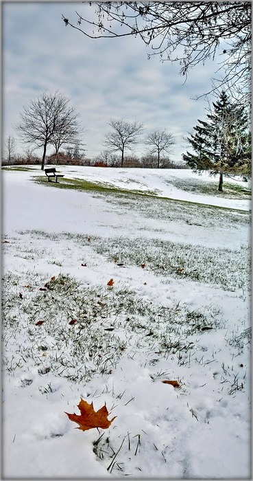 winter morning quiet courtyard made of white and cold ..