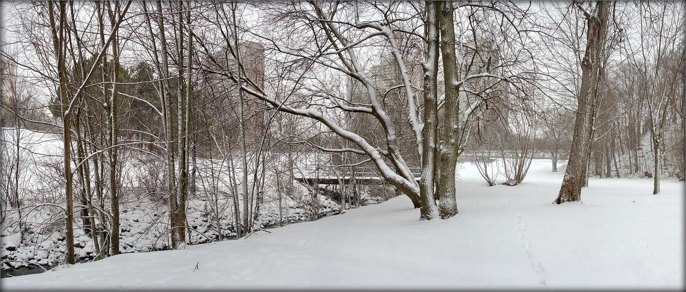 December walks near the home stream