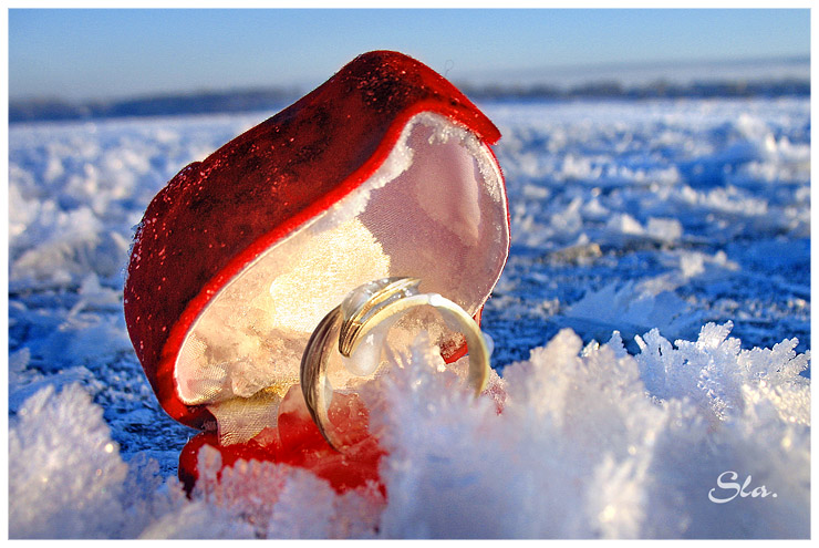 Ощущения мороза. Морозные капли. Коралловый снег. Глоток Мороза. Картинки красивые необычные места Мороз.