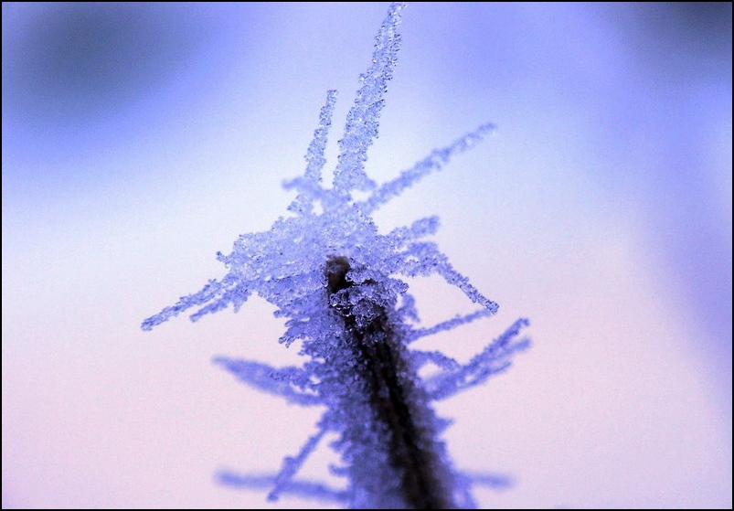 crystallization
