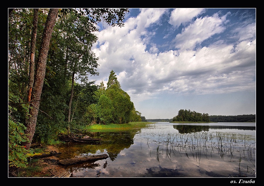 The August landscape ...
