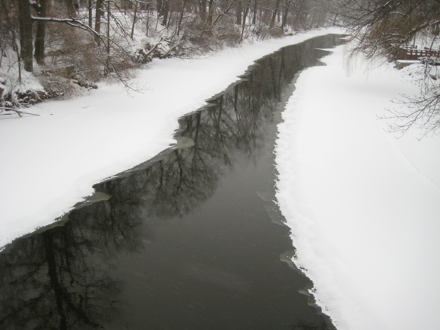 White Silence