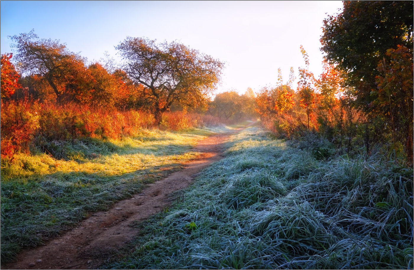 Autumn morning