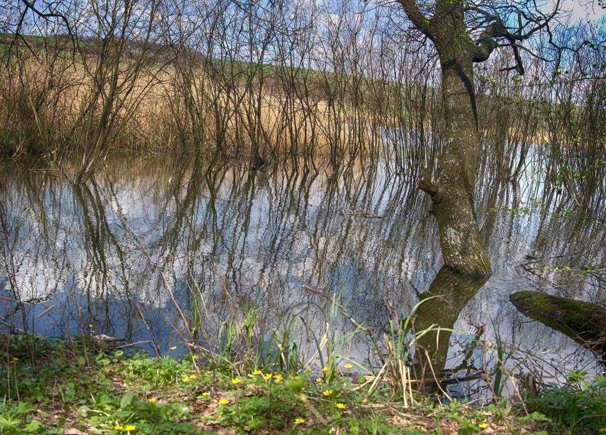 Backwater