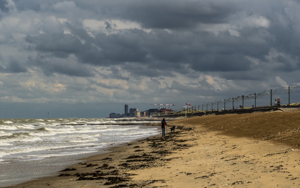 On the shore of the North Sea ...
