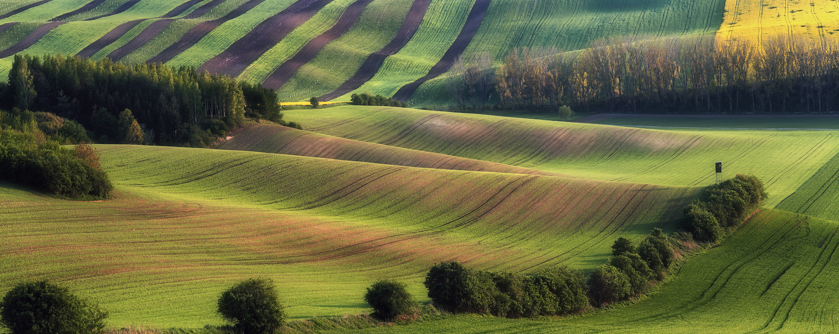 Moravian Sketch