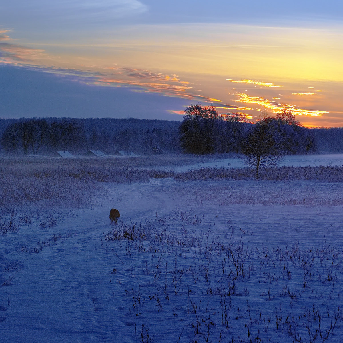 Winter evening ..