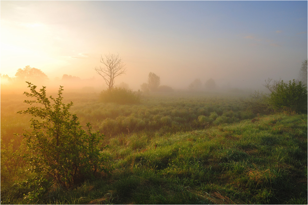 Wake up to the valley