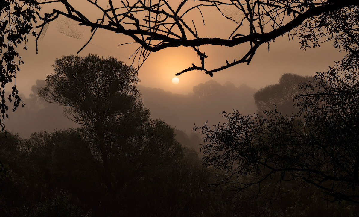 Fog and sun