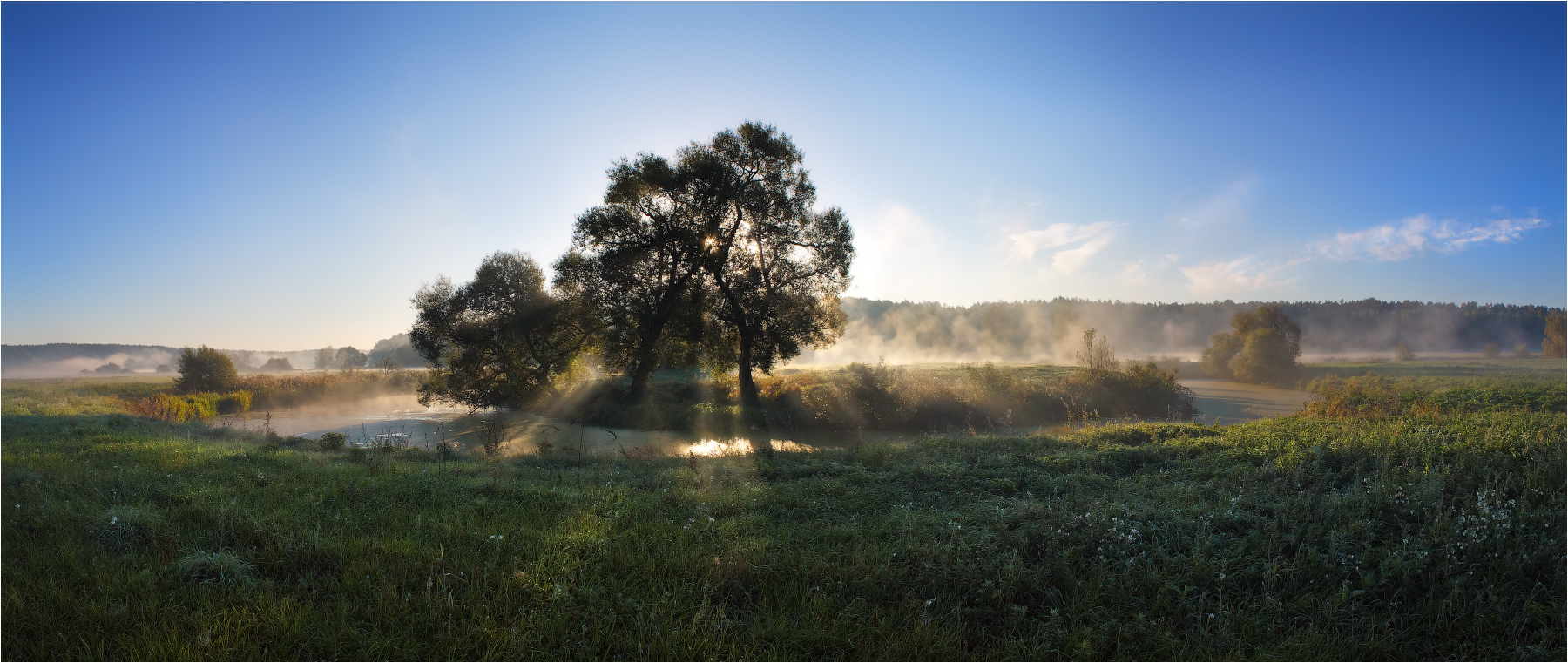 Light and fog * 2