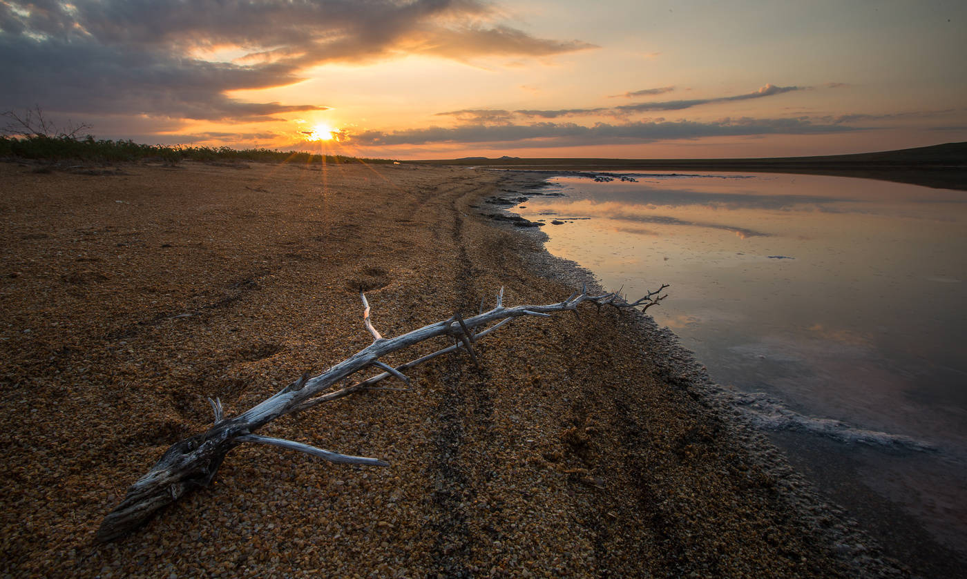 Salt coast
