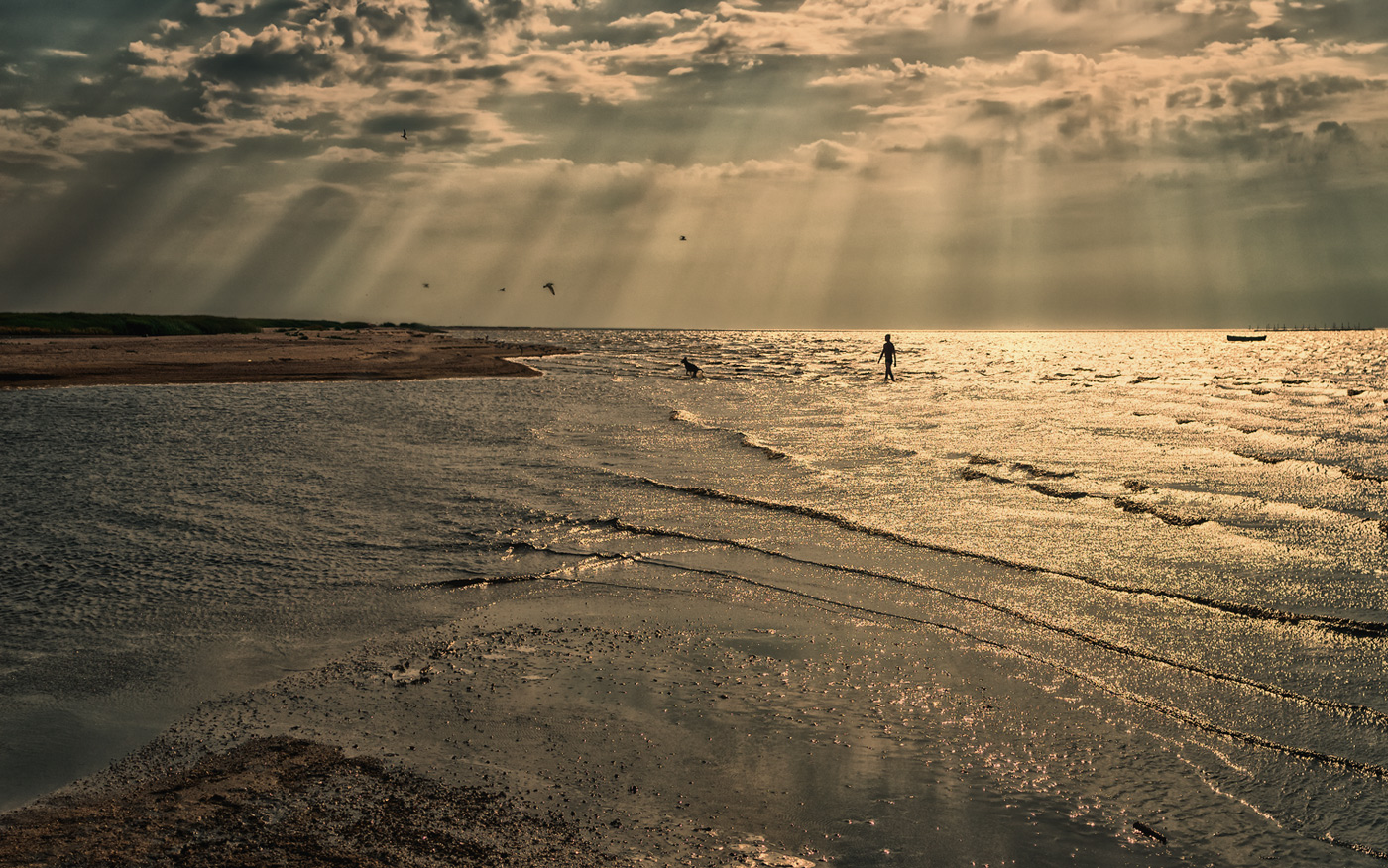 Children of the sea