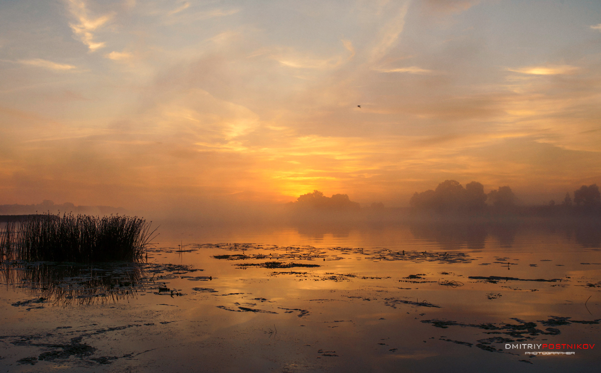 Misty dawn.