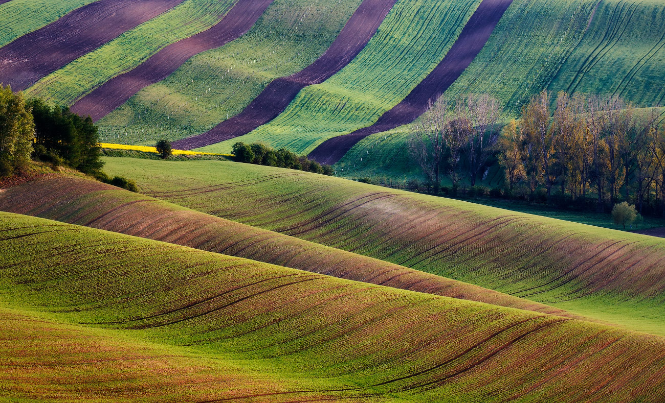 Moravia