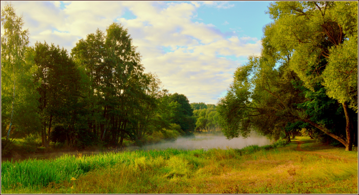 morning for a walk