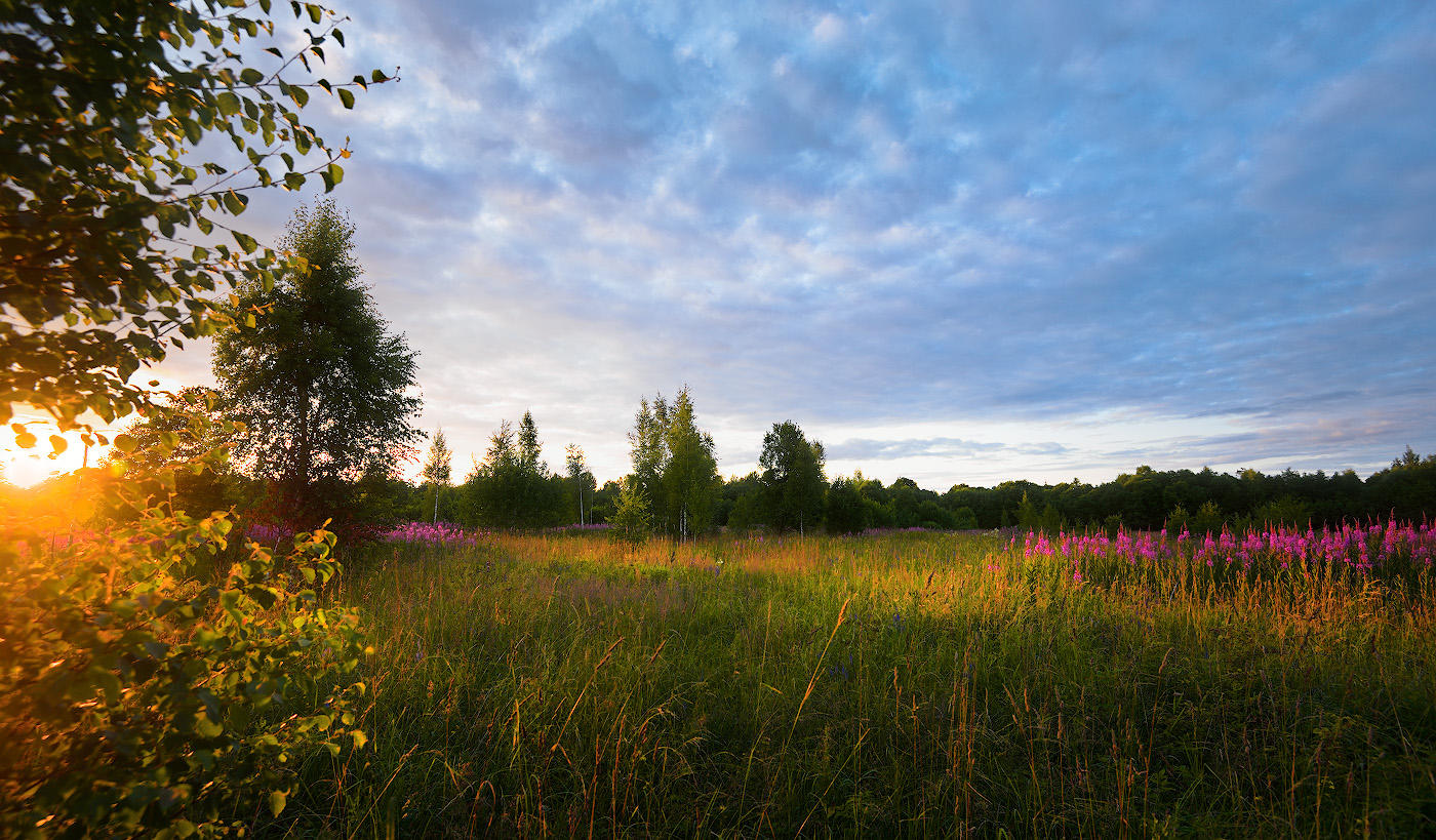 Summer evening.