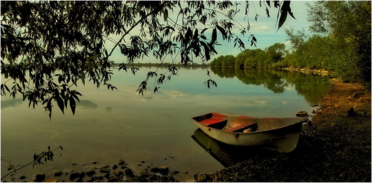 Loneliness