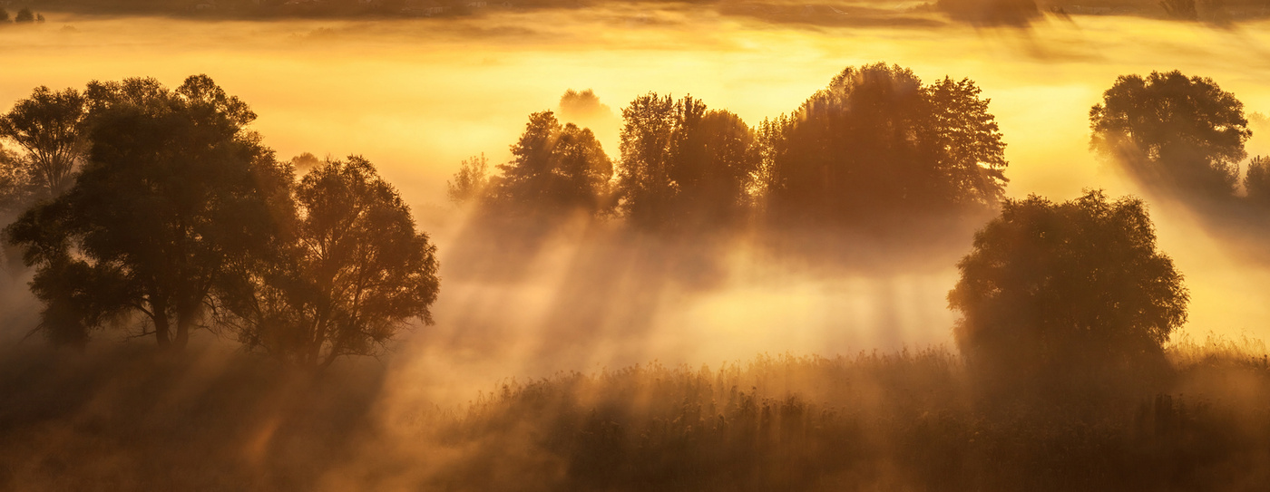 The rays of the soul