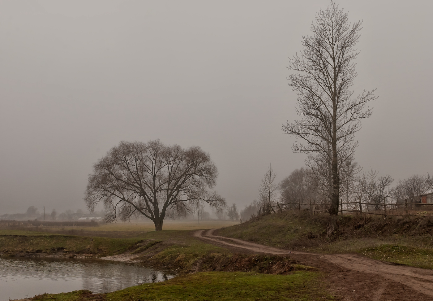 Туманный лес. Горы в тумане. Горы и лес в тумане 4к. Фог. Лес в тумане.