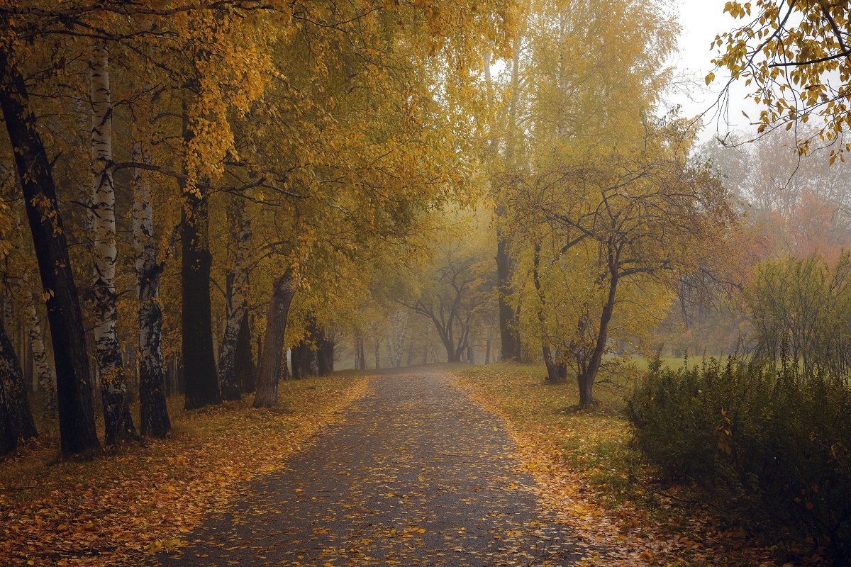 Autumn morning.