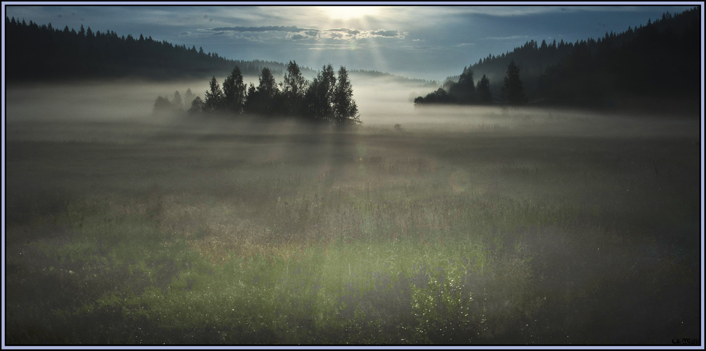 Light fog.