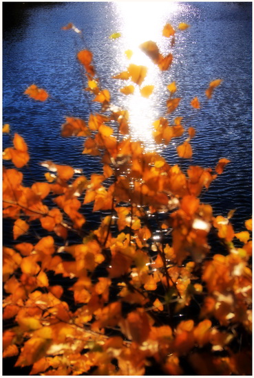Autumn Bouquet