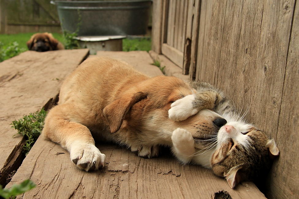 Hold me closer!