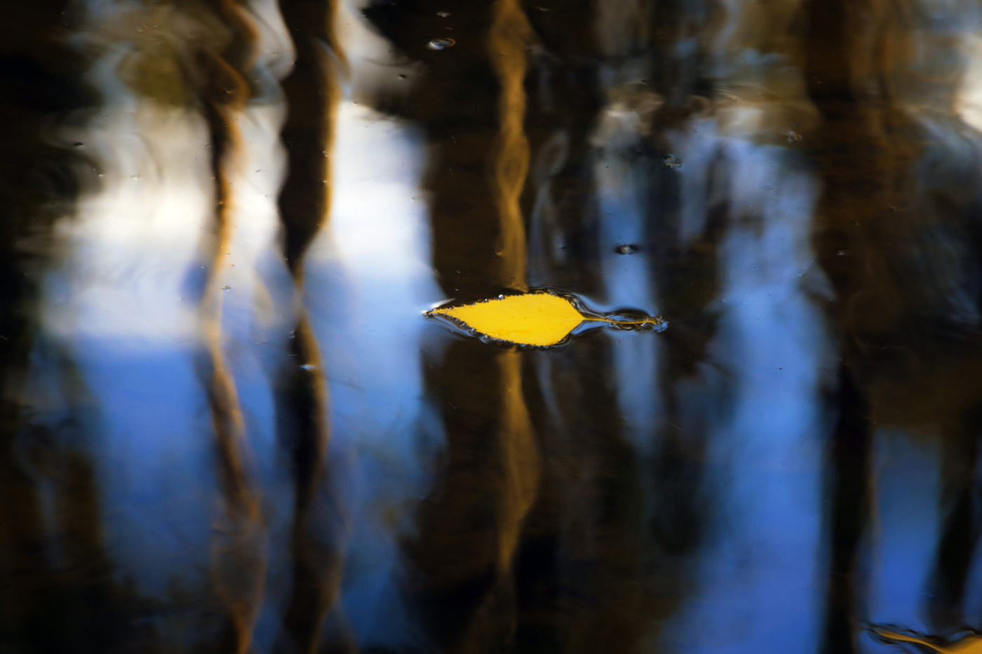 Paint by water