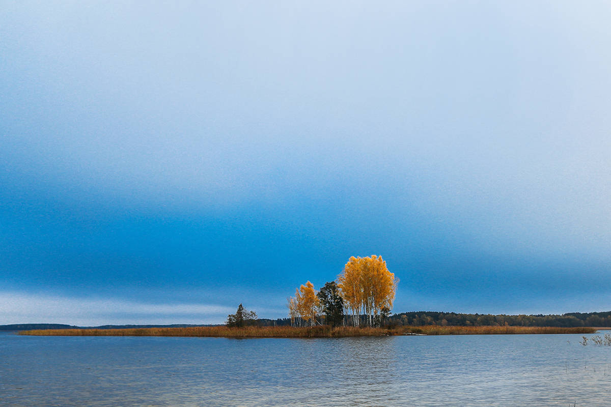 Autumn