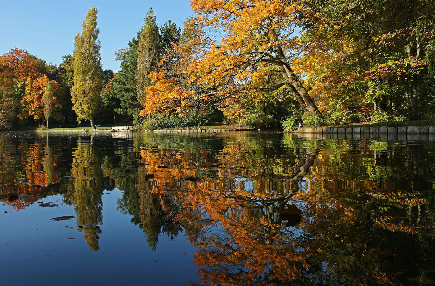 Autumn admires in the mirror