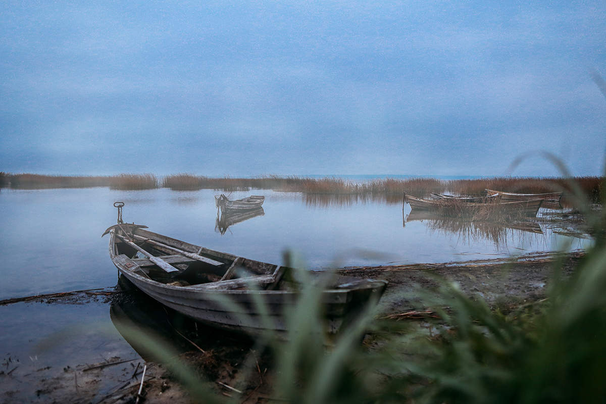 Braslav, fog