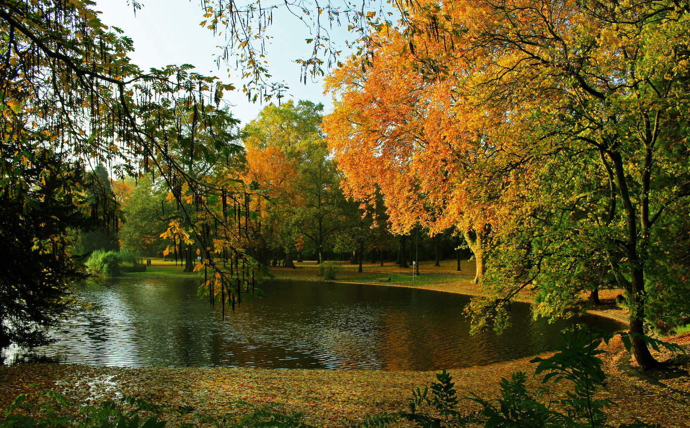 Lake in the park