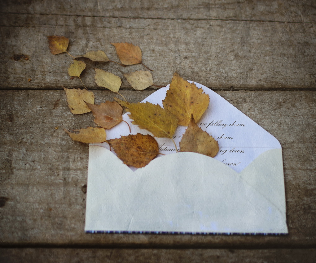 Letters in November ...