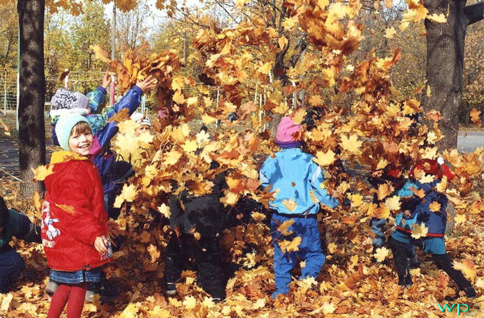 Autumn Marathon