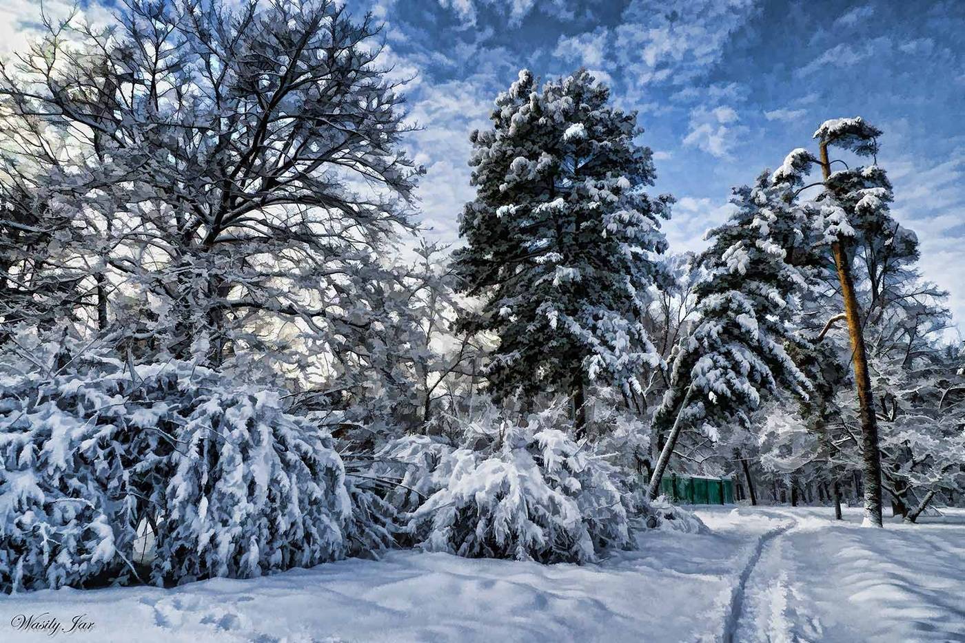 Winter in the park. / Sokolniki /