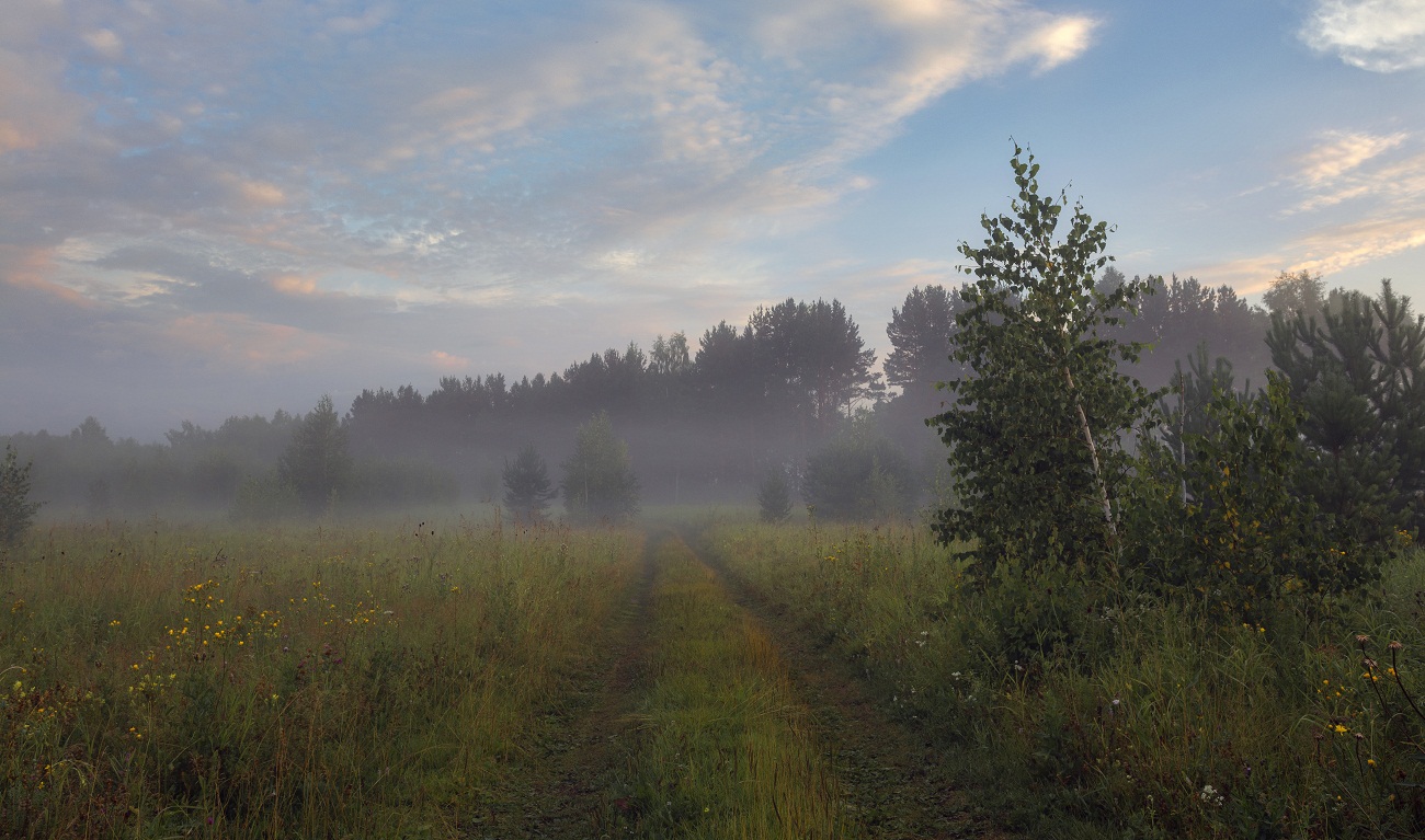 The morning of the summer!