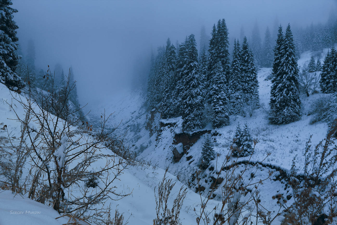Blue mist