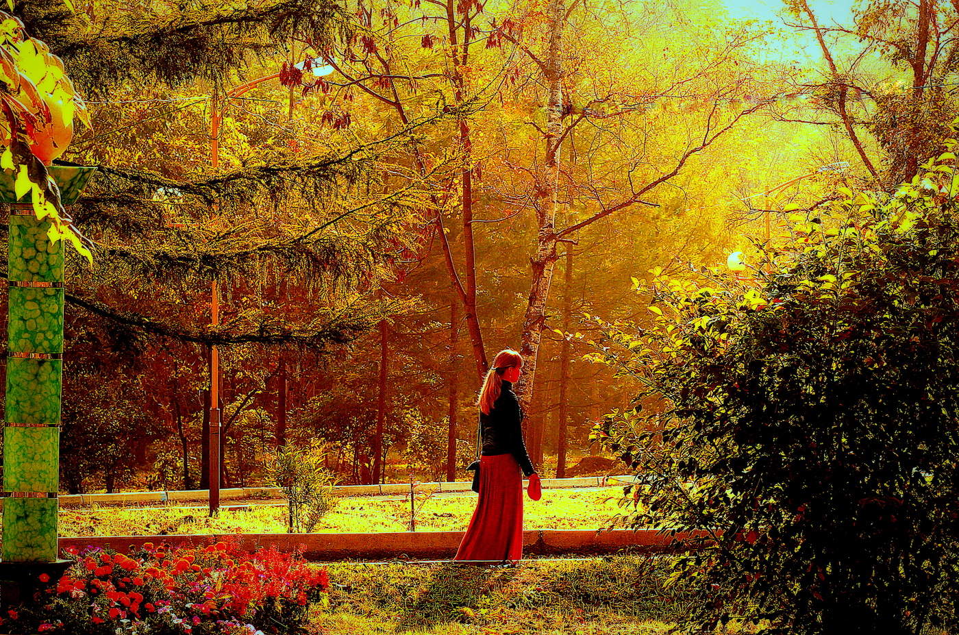 Wandered autumn in city park ...